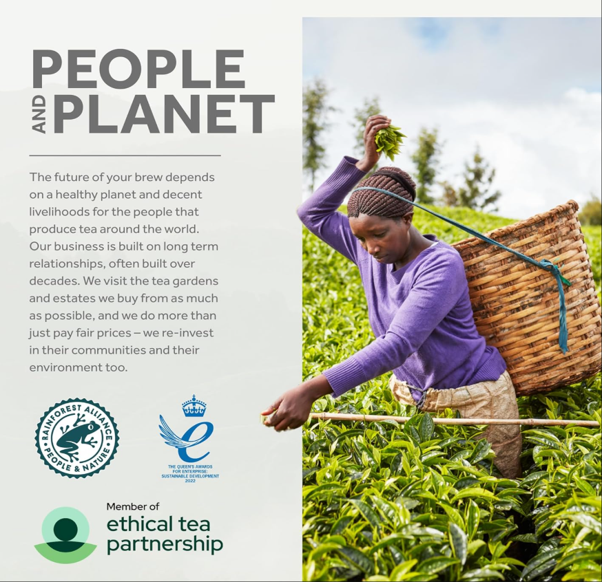 Yorkshire Tea 80 Tea Bags 250g